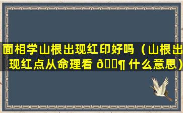 面相学山根出现红印好吗（山根出现红点从命理看 🐶 什么意思）